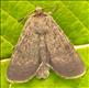2104 (73.341)<br>Northern Rustic